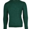 Stile Latino cashmere sweater green